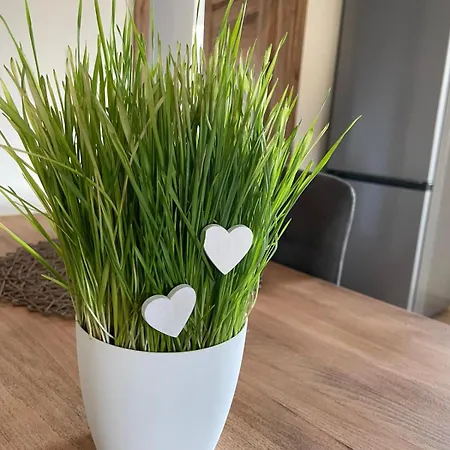Branna Hodnoceni 10 Wellness Vleky 5 Min Apartman *