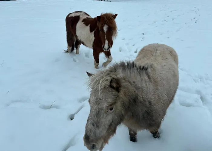 Апартаменты Branna 10 Z 10 Hory Klid A Vleky 5 Min